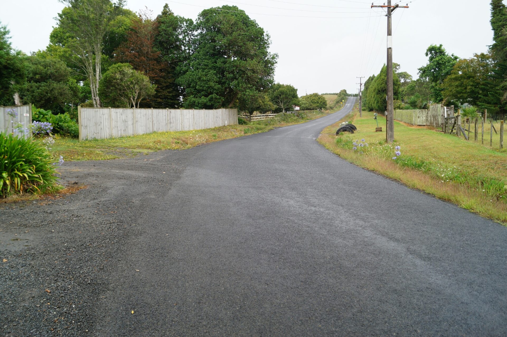 wp-1455700549694 image