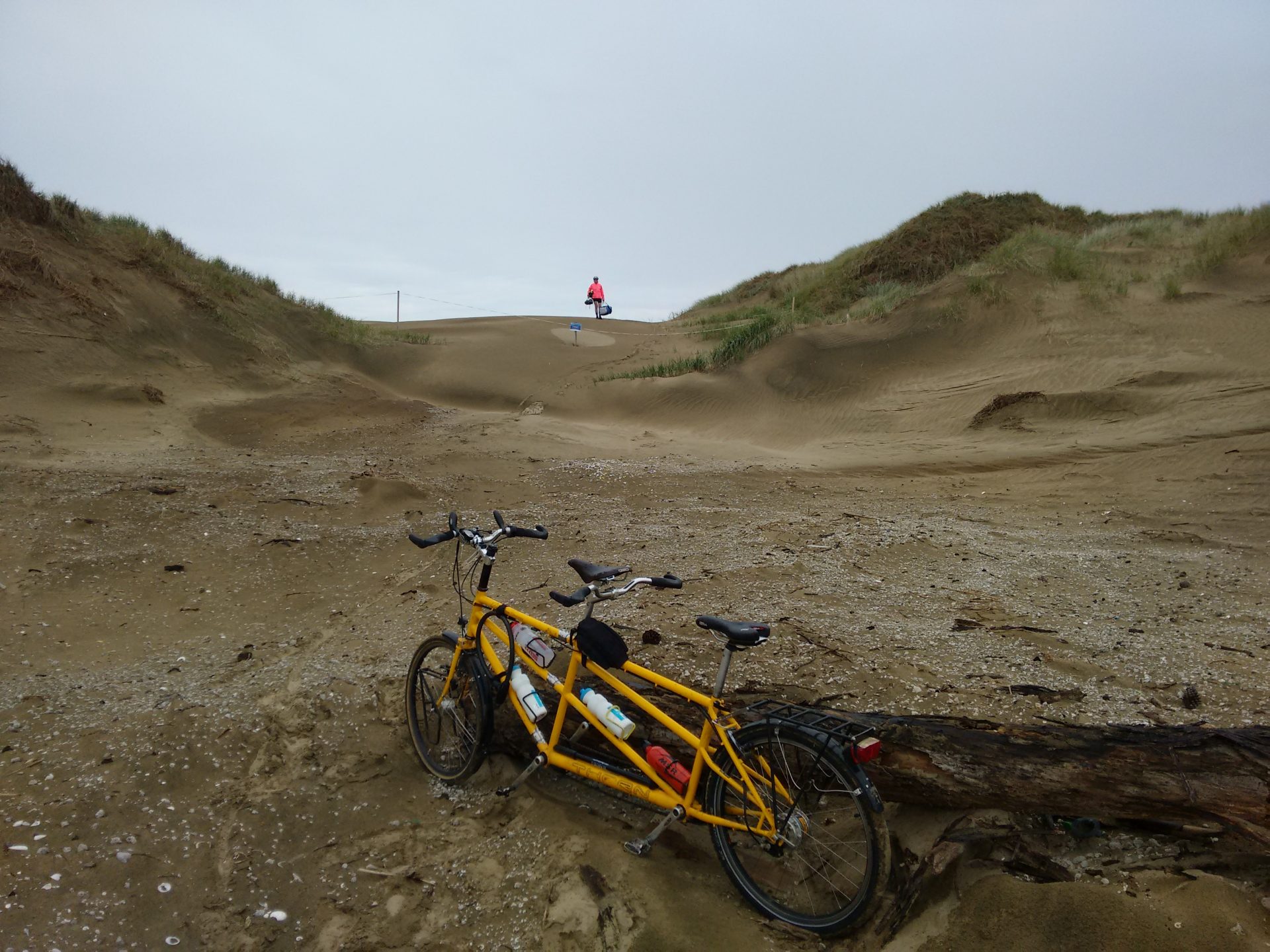 IMG_20160209_160755377